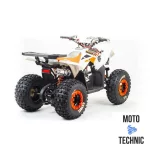 Квадроцикл MOTOLAND (МОТОЛЕНД) 125 COYOTE Квадроцикл MOTOLAND (МОТОЛЕНД) 125 COYOTE